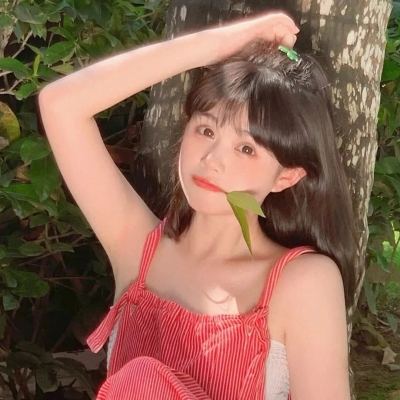 三国志名将传刘备传破解版下载